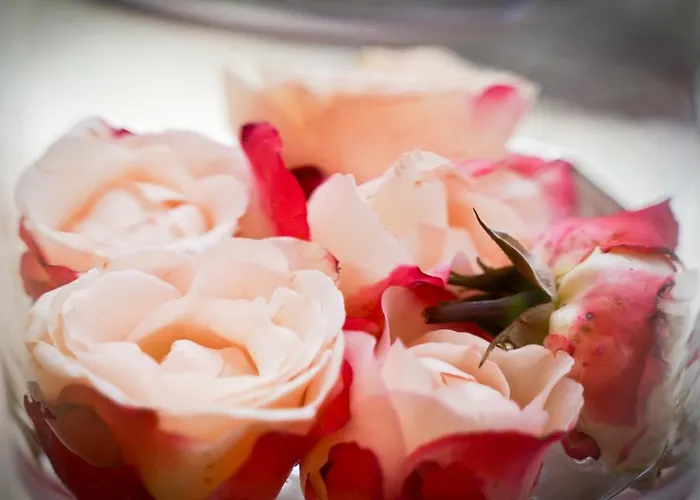 Hotel Im Kupferkessel Kolonia