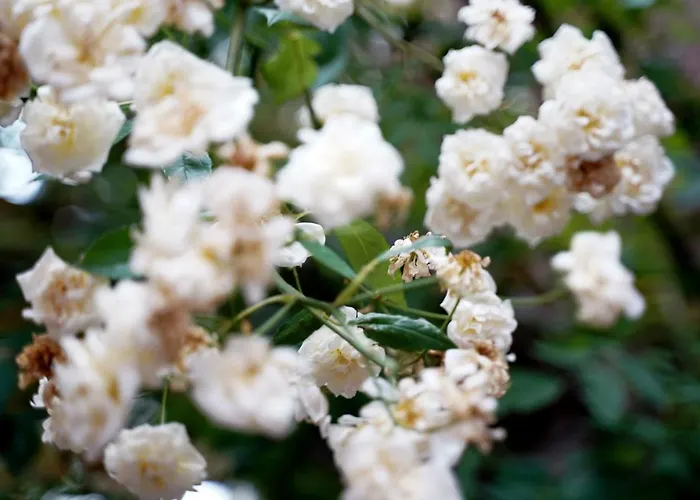 Im Kupferkessel Hotell