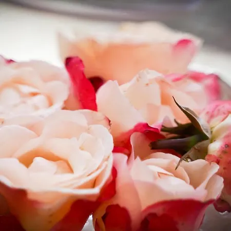 Hotel Im Kupferkessel Colonia