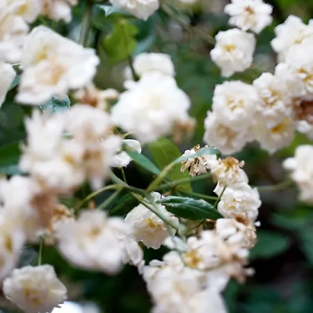 Im Kupferkessel Hotel